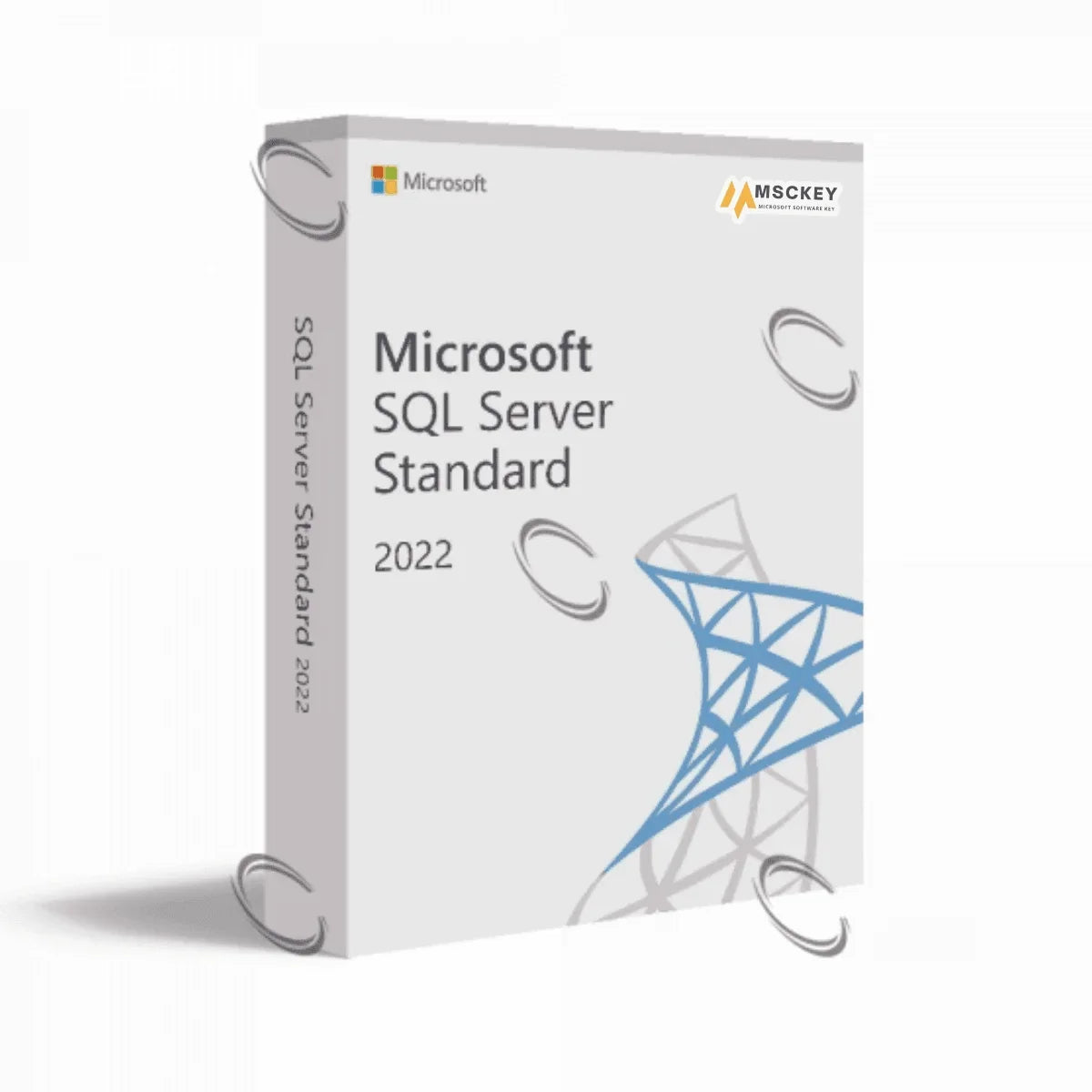SQL Server 2022 standard license key