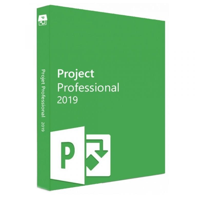 microsoft project professional 2019