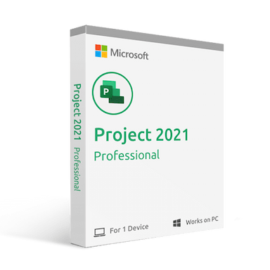 project 2021 professional 2