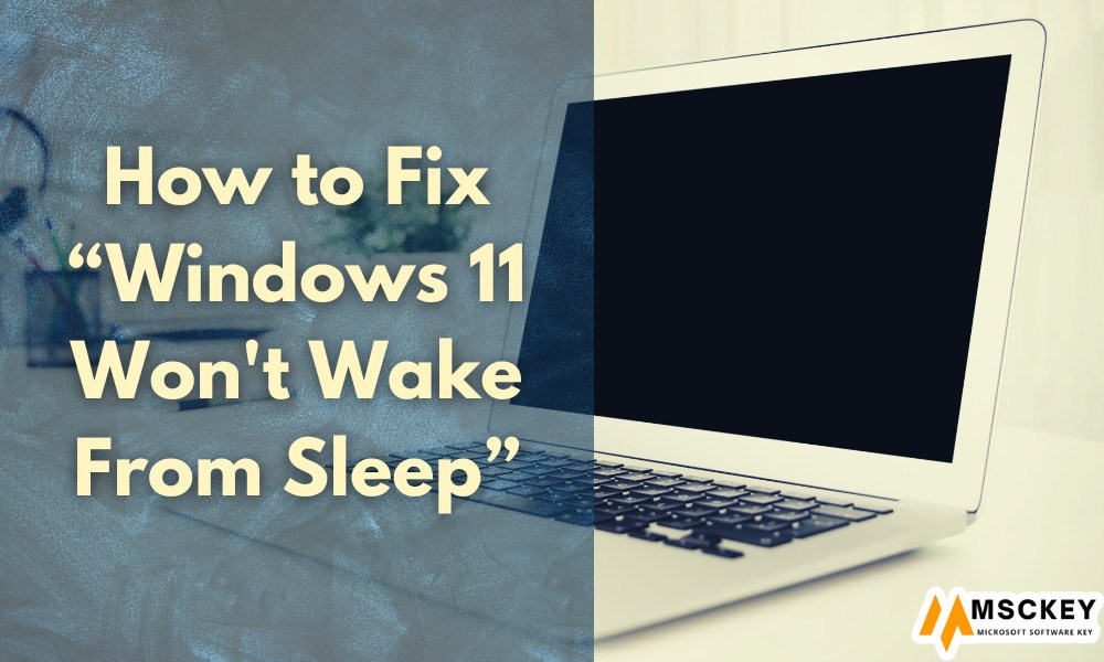 How to Fix Windows 11 Won't Wake From Sleep