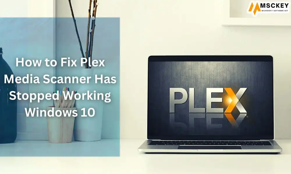 Plex Media Scanner Has Stopped Working Windows 10