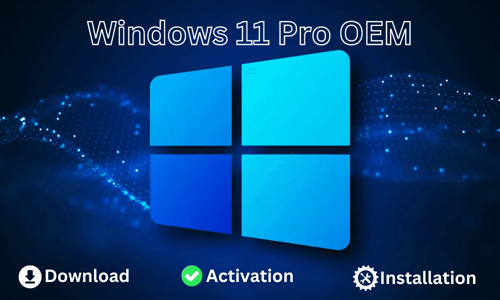 Clé OEM professionnelle Windows 11