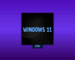 windows 11 23h2